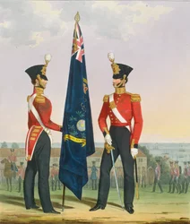 Royal Marines (Subalterns) 2. Leutnant trägt Divisionsfarben, Platte 15 aus 